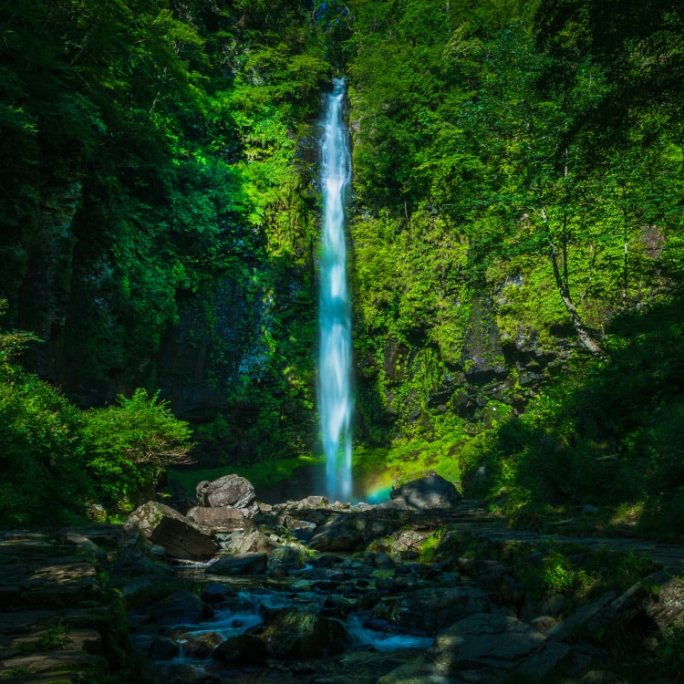 白鳥町