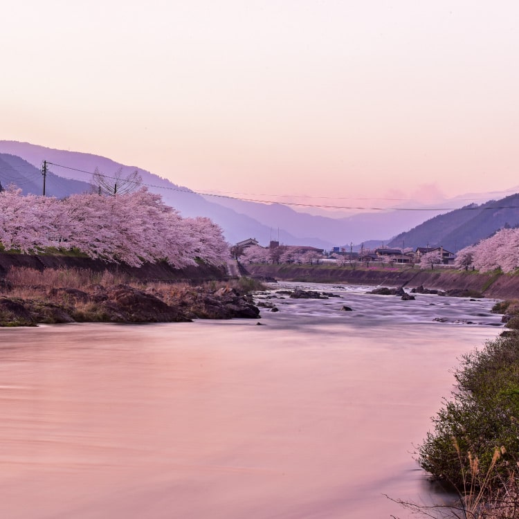 大和町