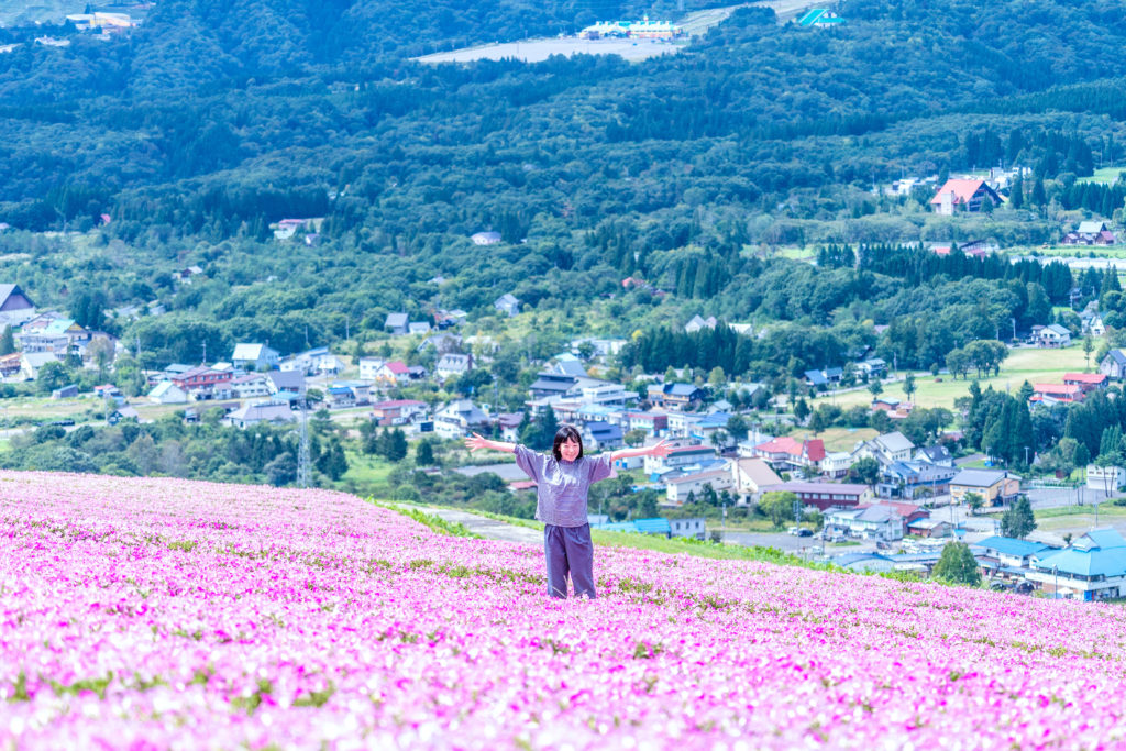 ひるがのピクニックガーデンのイメージ