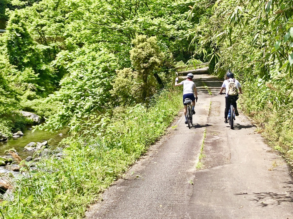 【体験記】風を切る、風になる。電動アシスト付きスポーツサイクル「E-bike」で郡上の里山37Kmを爽快にツーリング イメージ