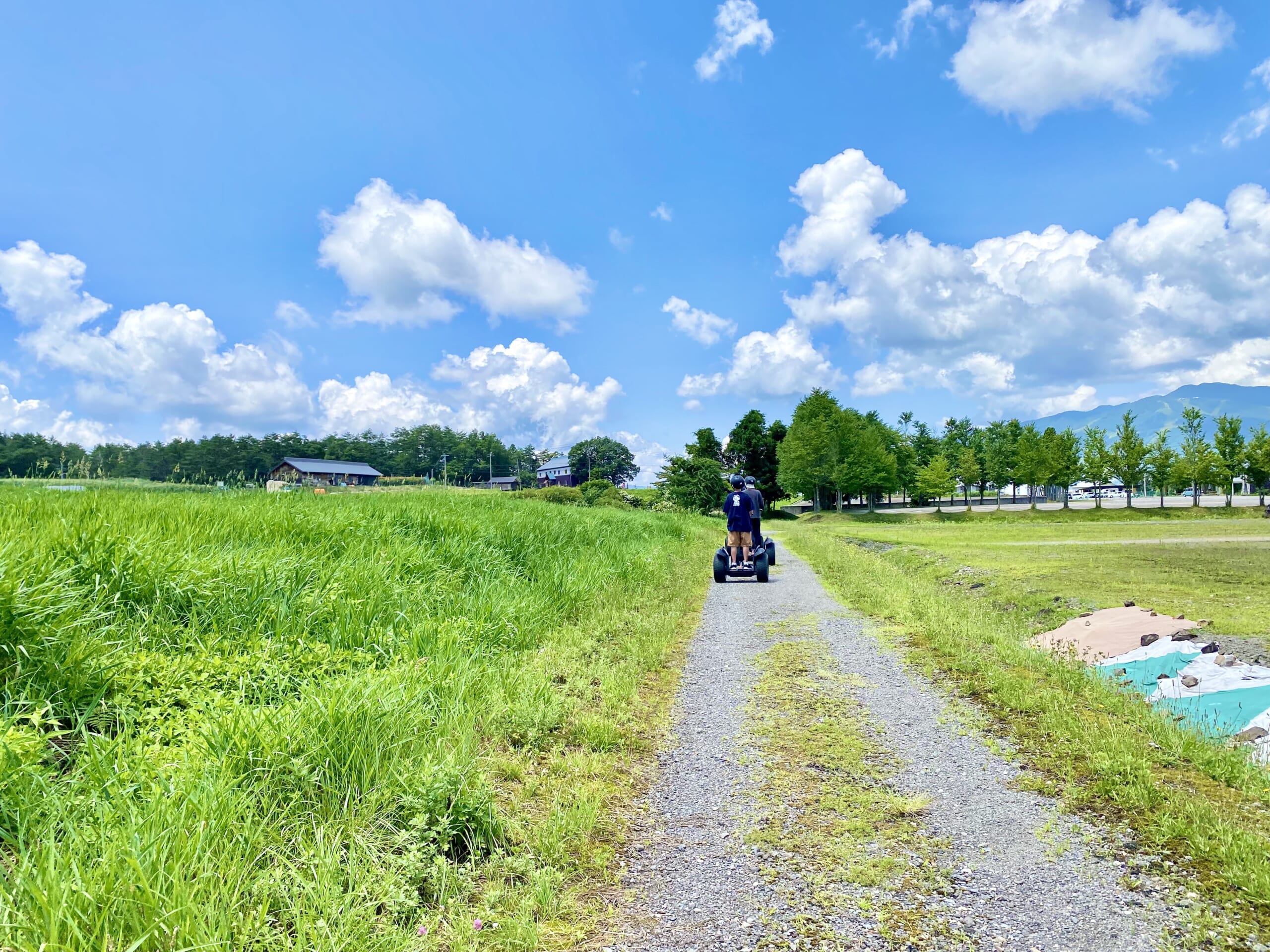 ひるがの高原で夏を満喫！親子で行く「マイクロツーリズム」 イメージ