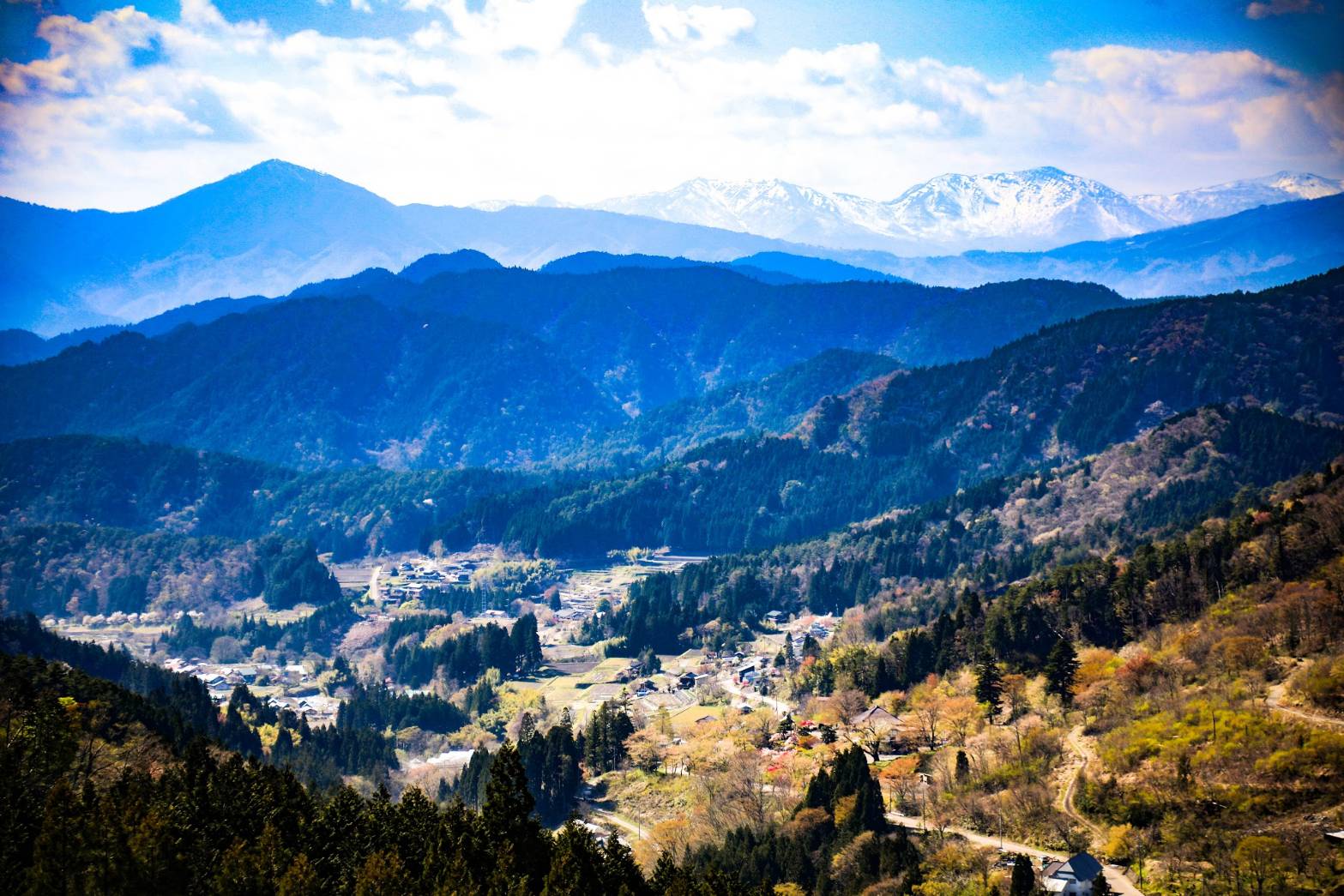 変わりゆく山と里の境界線。日々山に入る若き猟師が見つめる50年先の郡上の山と暮らしとは。 イメージ