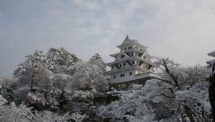 郡上八幡城（4）