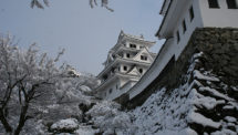 郡上八幡城（5）