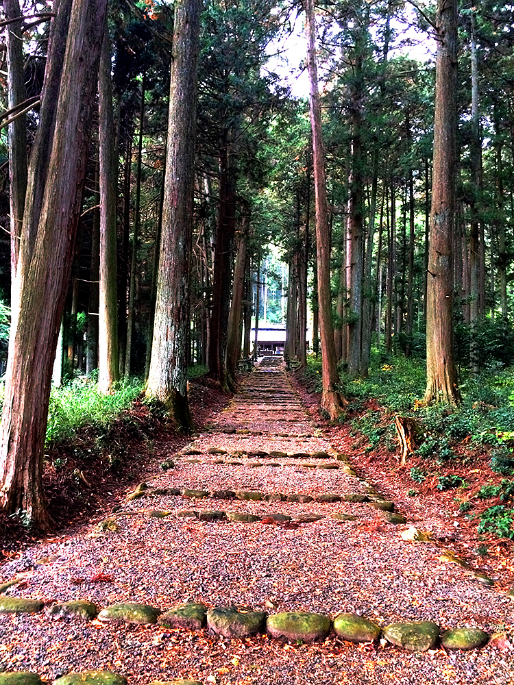 熊野神社（2）