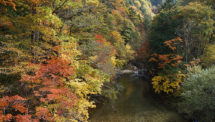 せせらぎ街道 紅葉（3）