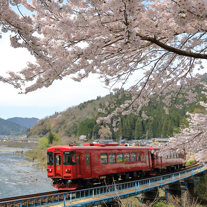 四季折々に彩られた車窓風景を堪能