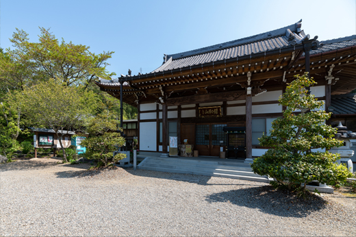 桂昌寺のぼたん園img33