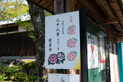 桂昌寺のぼたん園img34