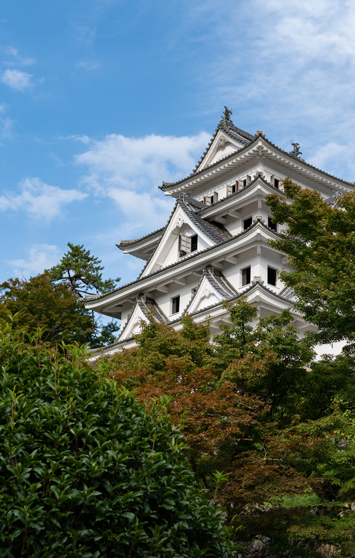 郡上八幡城