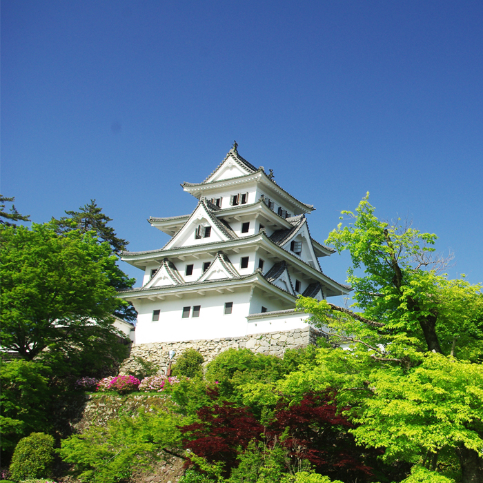 夏:白亜の天守を取り巻くのは新緑と青空だけ!