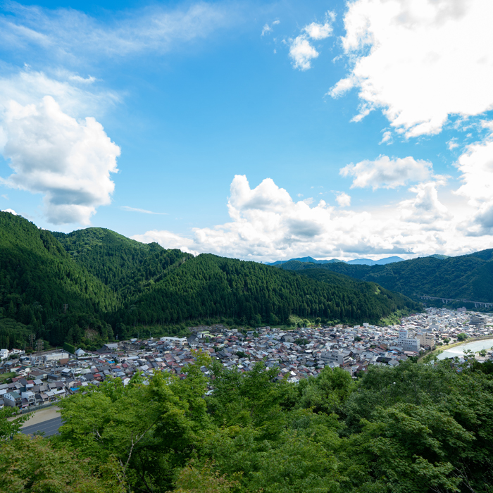 天守から眺める「魚」の形をした城下町