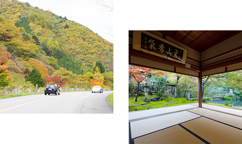 四季折々に楽しいドライブコースせせらぎ街道