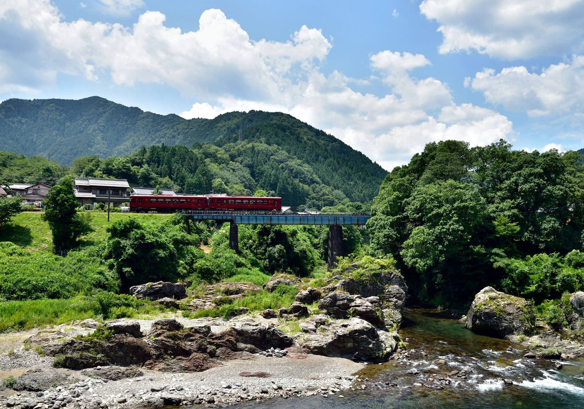 青々とした緑の中を走る列車