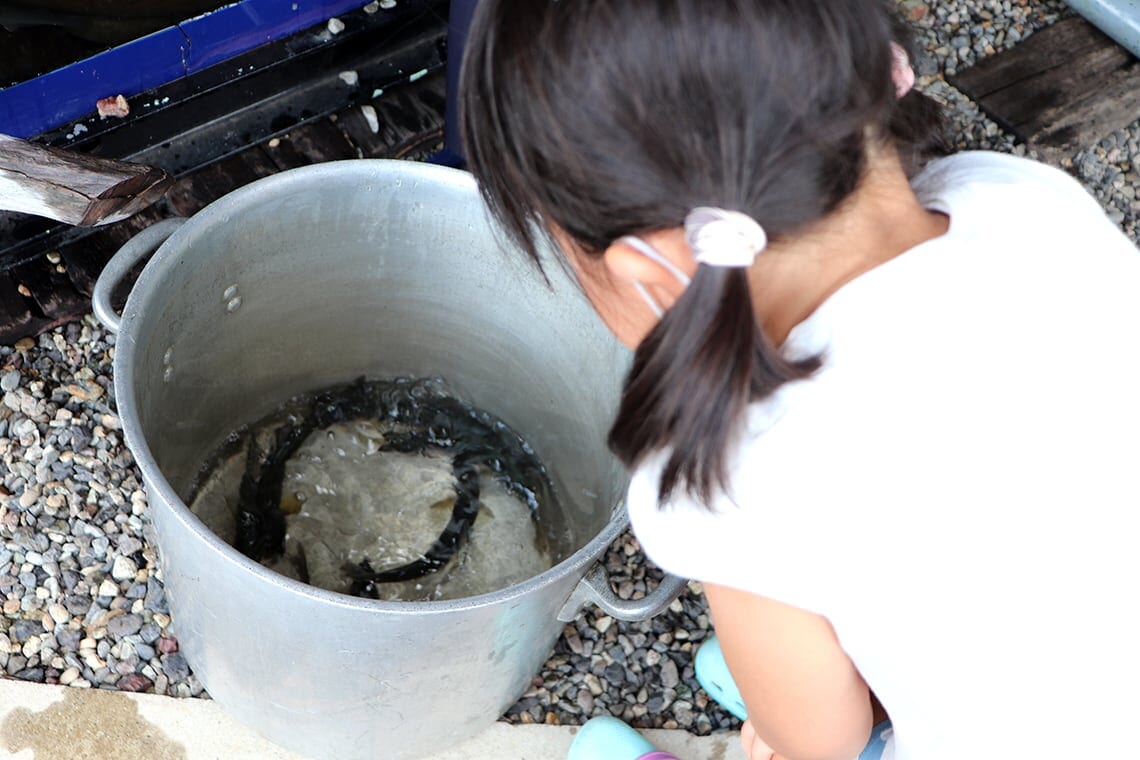 夏休みに出かけたい！ 子どもが喜ぶ郡上の川遊び&「ヤナ」_03