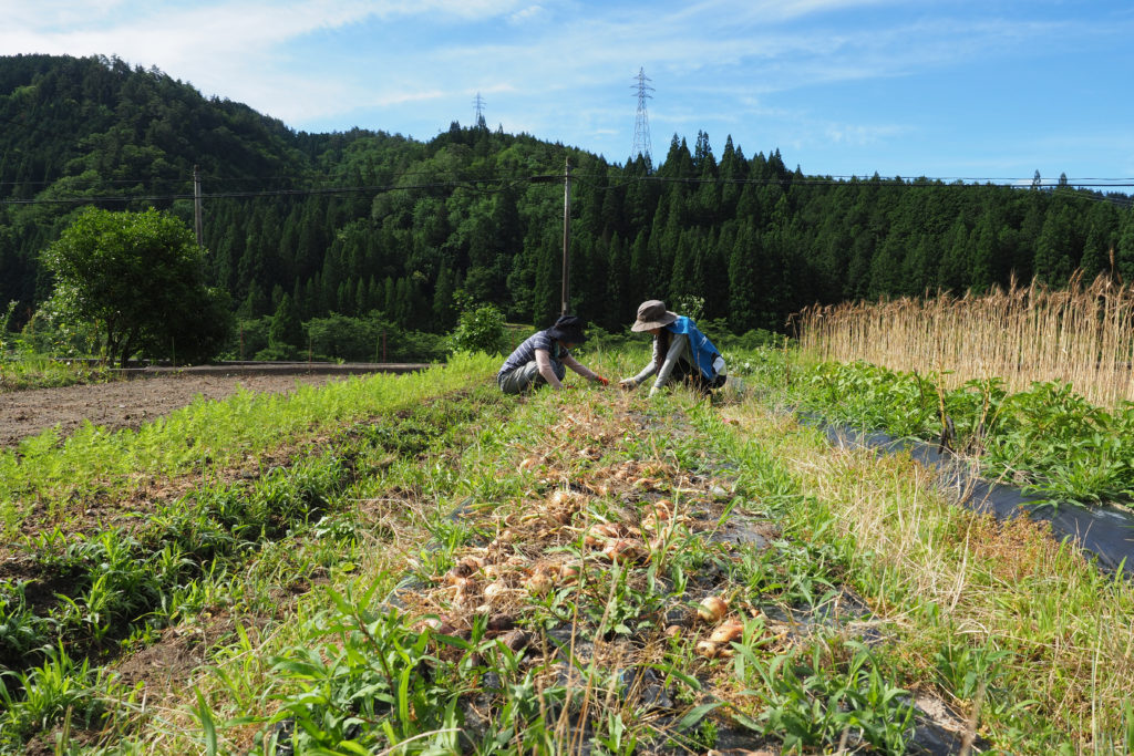 暮らすように旅する〜農家民宿でプチ移住体験！01