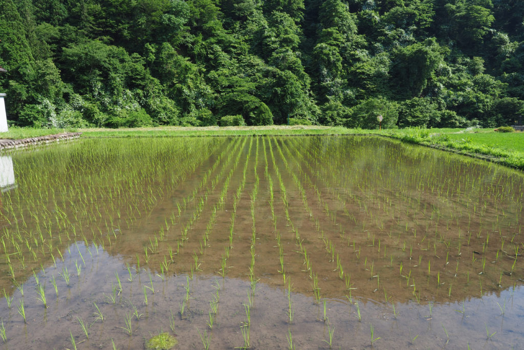 暮らすように旅する〜農家民宿でプチ移住体験！16