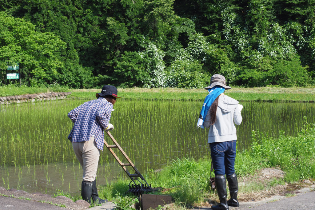 暮らすように旅する〜農家民宿でプチ移住体験！18