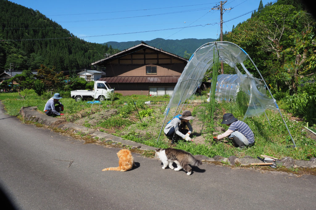 暮らすように旅する〜農家民宿でプチ移住体験！46