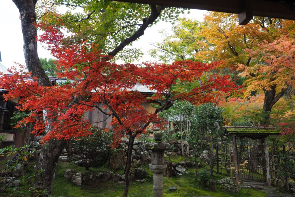 小京都、秋の郡上八幡紅葉巡り_15