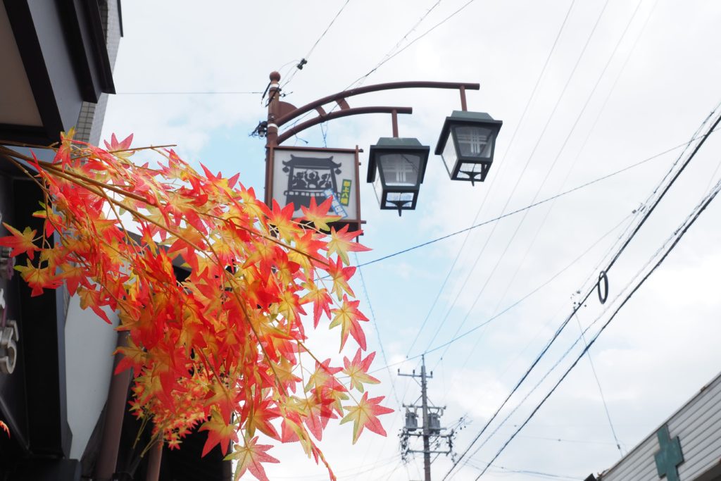 小京都、秋の郡上八幡紅葉巡り_24