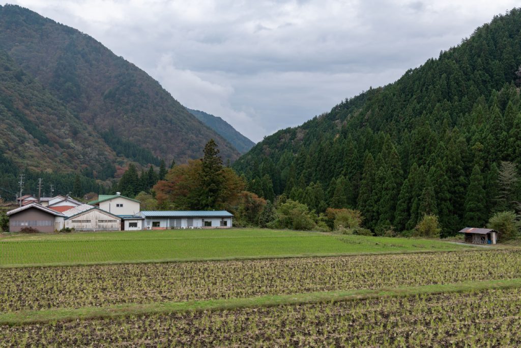 明宝ハム工場見学_04