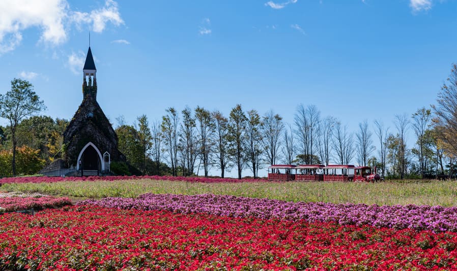 <C_011>高鷲・ひるがの高原グリーンシーズンコース「大自然とあそぶ、ひるがの高原で美と食を満喫！美しい花に癒される」