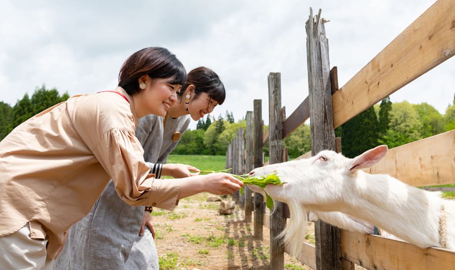 <C_011>高鷲・ひるがの高原グリーンシーズンコース「大自然とあそぶ、ひるがの高原で美と食を満喫！美しい花に癒される」