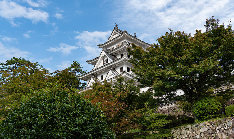 八幡・城下町コース１「四季折々に訪れたい。奥美濃の小京都・八幡城下町を巡る旅。」