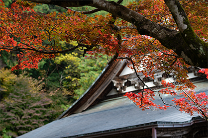 八幡・城下町コース１「四季折々に訪れたい。奥美濃の小京都・八幡城下町を巡る旅。」