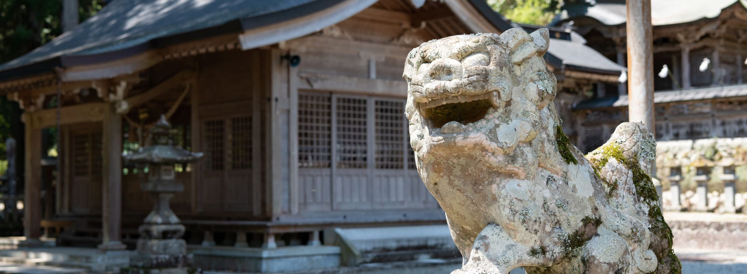 美並・円空歴史散策と花探訪コース「穏やかで、優しい微笑みの円空仏に出会う、星宮神社・円空歴史散策と、花寺・桂昌寺を巡る旅」