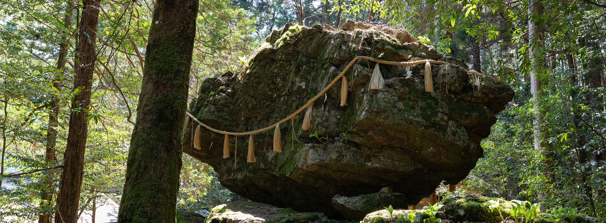 <C_005>和良・戸隠神社と和良鮎を楽しむコース「不思議な伝説の岩と日本一の鮎「和良鮎」の里散策」