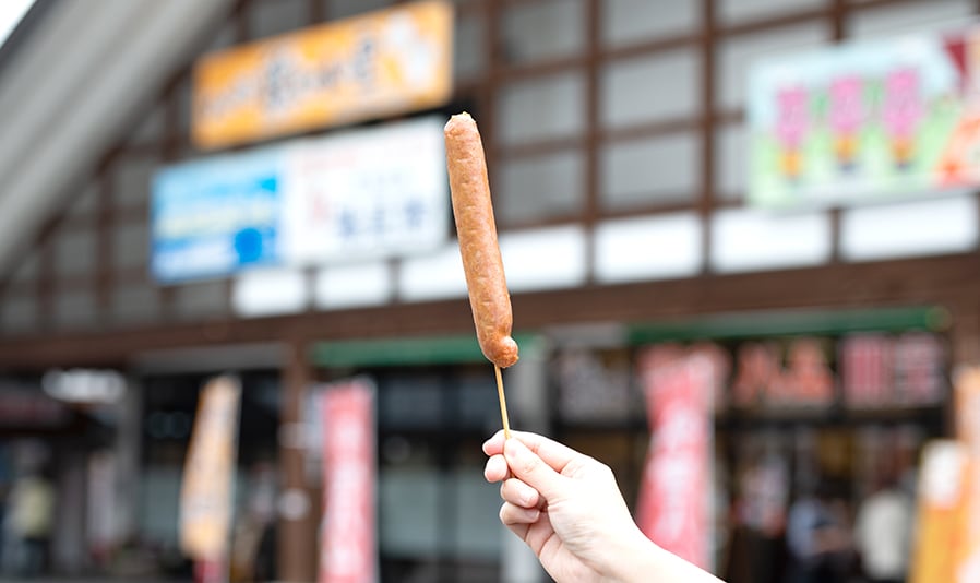 明宝歴史民俗資料館・春のお花見コース「古い木造校舎で過去へタイムスリップ？！春のお花見と明宝温泉の旅」