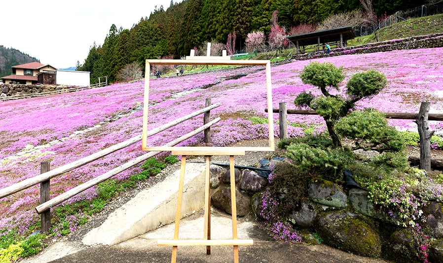 明宝歴史民俗資料館・春のお花見コース「古い木造校舎で過去へタイムスリップ？！春のお花見と明宝温泉の旅」