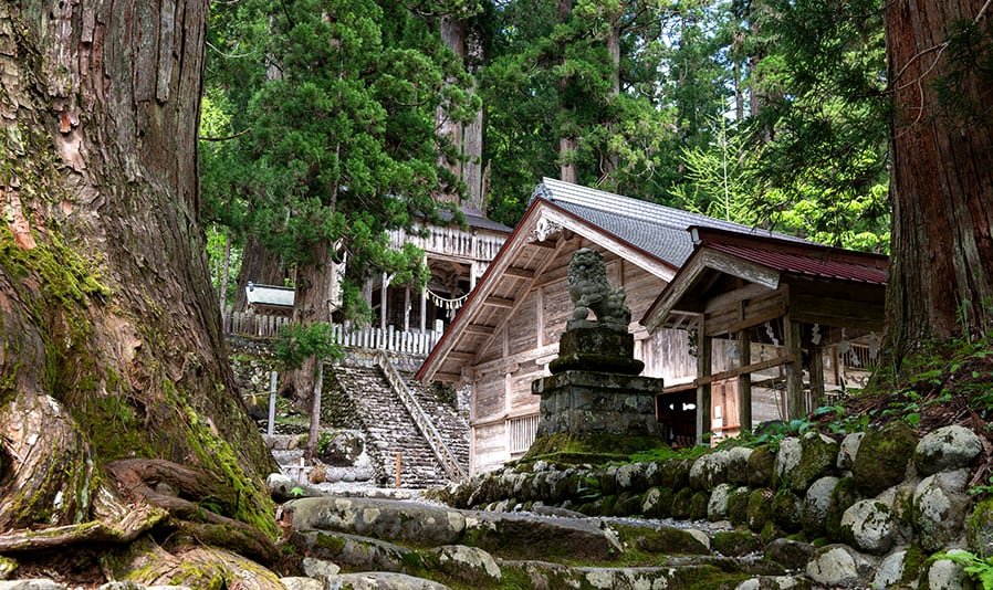 阿弥陀ヶ滝・白山文化博物館コース「ナチュラル＆リラックス名瀑・阿弥陀ヶ滝と白山文化を訪ねるリトリートの旅」