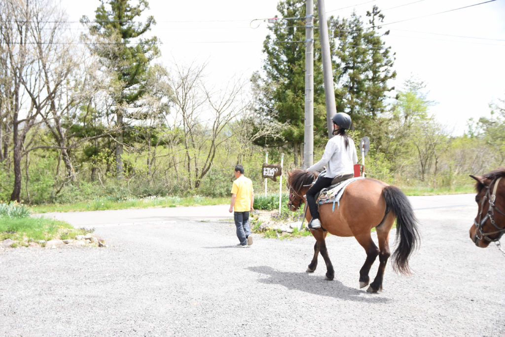 ひるがの高原木曽馬牧場_21