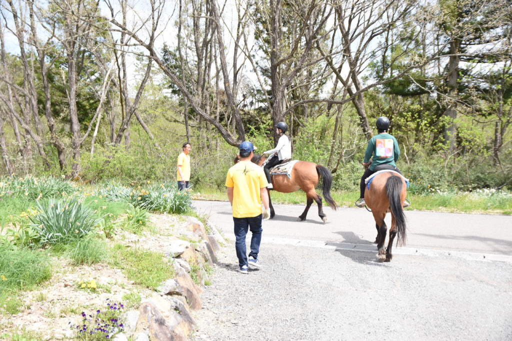 ひるがの高原木曽馬牧場_22