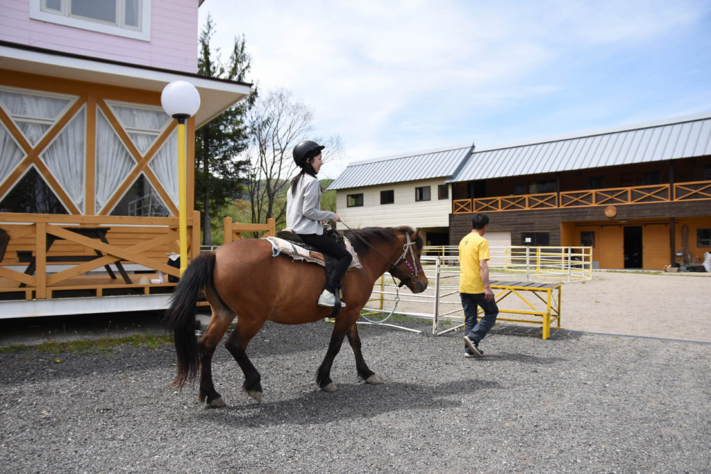 ひるがの高原木曽馬牧場_34