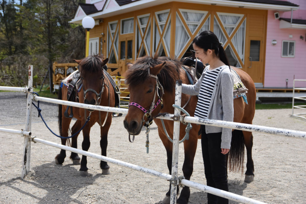 ひるがの高原木曽馬牧場_35